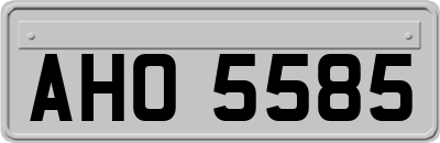 AHO5585