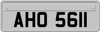 AHO5611