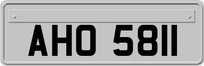 AHO5811