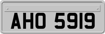 AHO5919