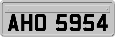 AHO5954