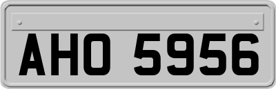 AHO5956