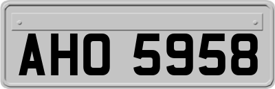 AHO5958