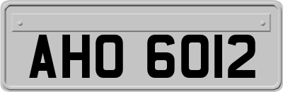 AHO6012