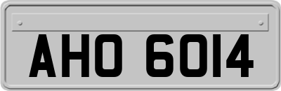 AHO6014