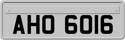 AHO6016