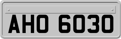 AHO6030