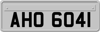 AHO6041