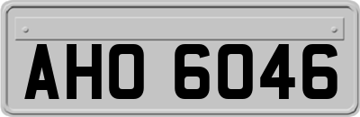 AHO6046