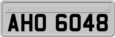 AHO6048
