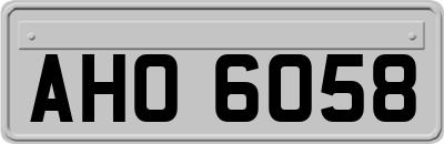AHO6058