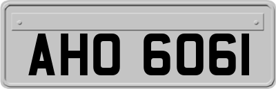 AHO6061