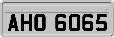 AHO6065