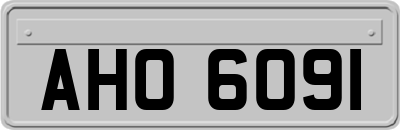 AHO6091