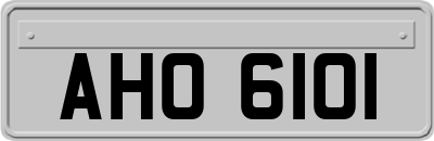 AHO6101