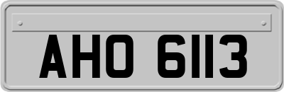 AHO6113