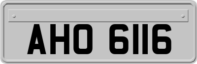 AHO6116