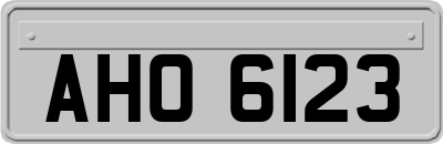 AHO6123