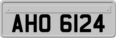 AHO6124