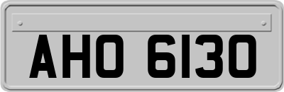 AHO6130