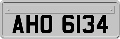 AHO6134