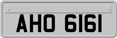 AHO6161