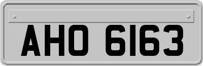 AHO6163