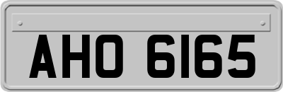 AHO6165