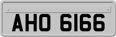 AHO6166