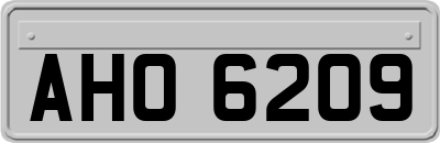 AHO6209