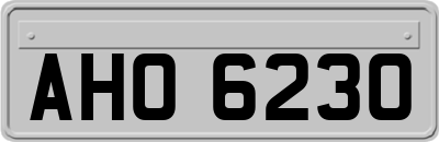 AHO6230