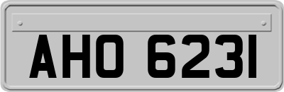 AHO6231