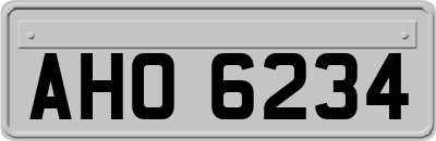 AHO6234