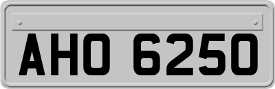 AHO6250