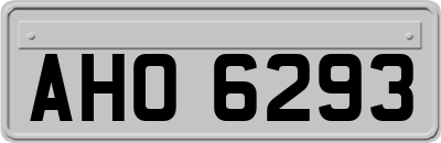 AHO6293