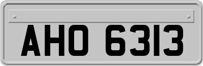 AHO6313
