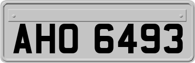 AHO6493
