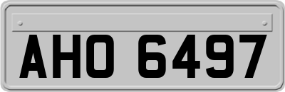 AHO6497