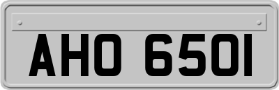 AHO6501