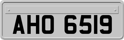 AHO6519