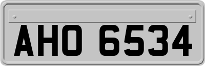 AHO6534