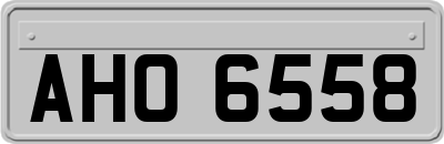 AHO6558