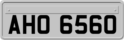 AHO6560