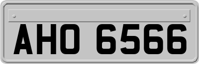 AHO6566