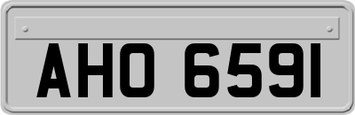 AHO6591