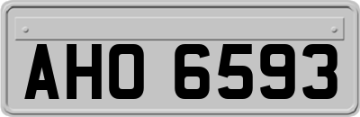 AHO6593
