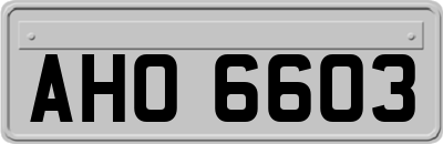 AHO6603