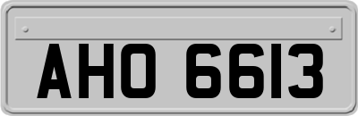 AHO6613