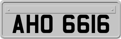 AHO6616
