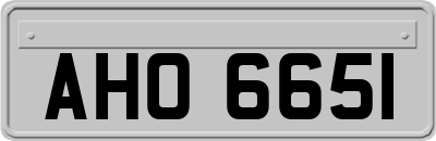 AHO6651